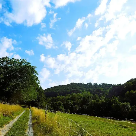 Am Fuchseck 아파트 *