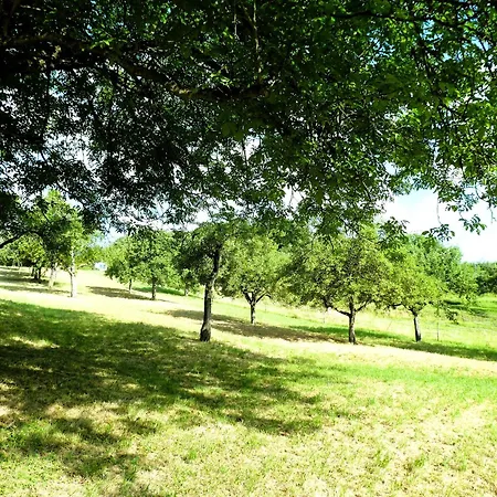 Am Fuchseck * 쇼른도프